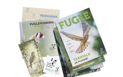 Fuglene er i fokus hos Dansk Ornitologisk Forening og på Avedøre Holme