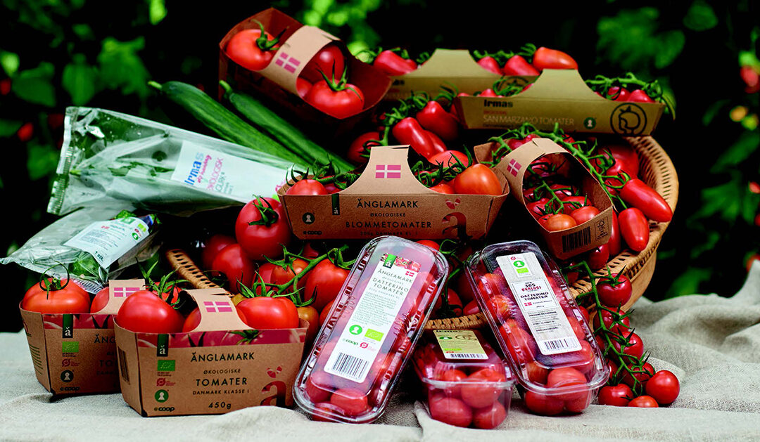 Markhaven: 35 års erfaring med økologisk tomatdyrkning